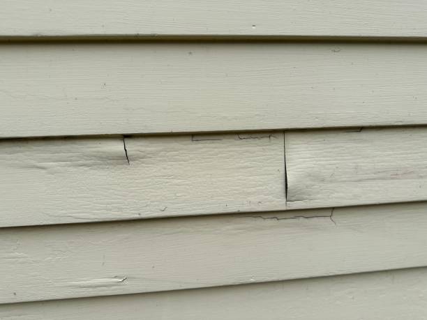 Affordable siding repair and maintenance services in Montello, WI
